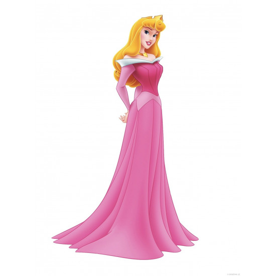 Šaty Šípková Růženka