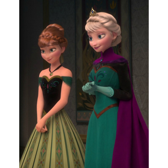 Šaty Ledové království - Anna 2