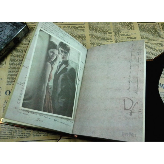 Diář Harry Potter - stříbrný