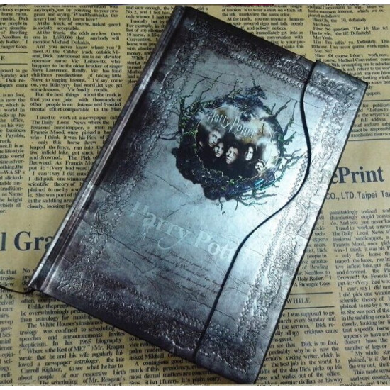 Diář Harry Potter - stříbrný