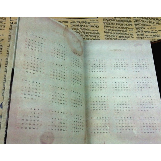 Diář Harry Potter - zlatý