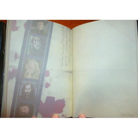 Diář Harry Potter - zlatý