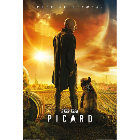Plakát Star Trek - Picard