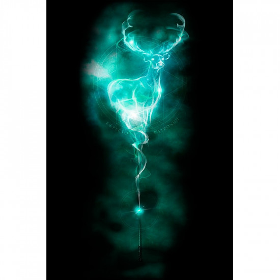 Plakát Harry Potter - Patronus
