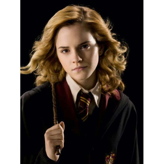 Náušnice Harry Potter - Obraceč času (přesýpací písek - stříbrné)