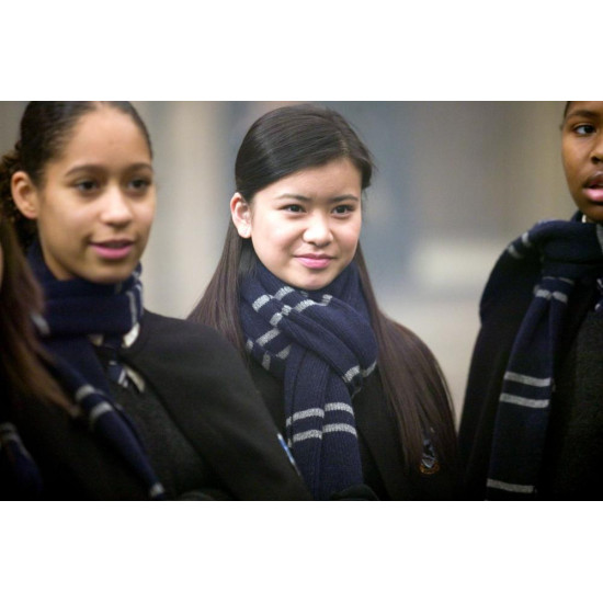 Kravata Harry Potter - Havraspár (Ravenclaw)