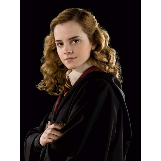 Náušnice Harry Potter - zlatonka (bronzové)