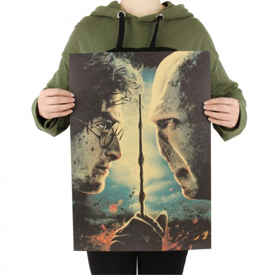 Plakát Harry Potter vs Lort Voldemort