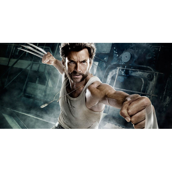 Polštář superheroes - Wolverine