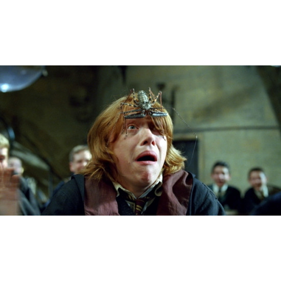 Náramek Harry Potter - Ron