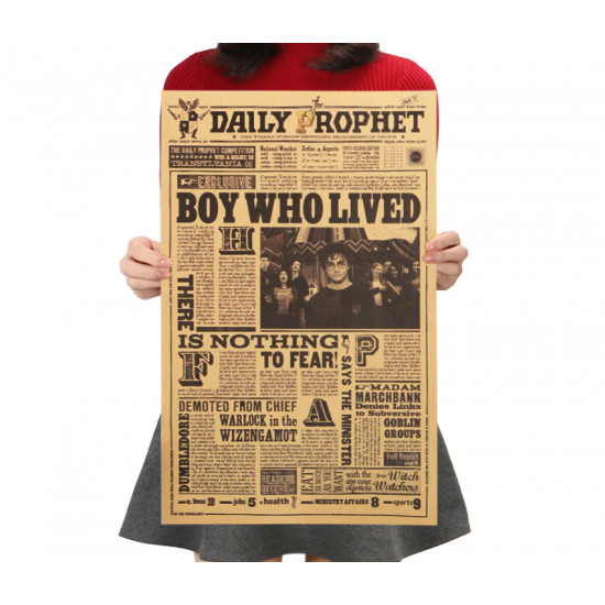 Plakát Harry Potter - Chlapec který přežil