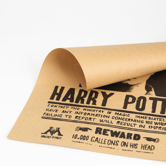 Plakát Harry Potter - nepřítel č. 1