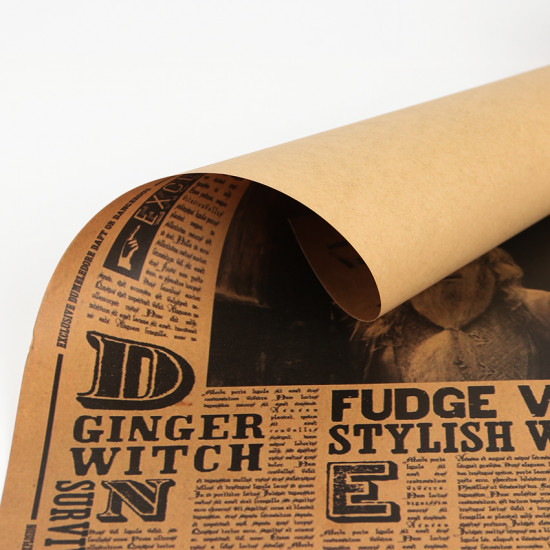 Plakát Harry Potter - Albus Brumbál zmatený nebo nebezpečný?