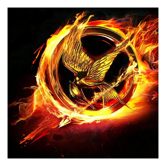 Řetízek Hunger Games - MOCKINGJAY