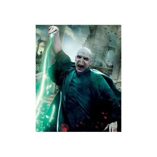 Hrnek Harry Potter -Lord Voldemort    - mění barvu