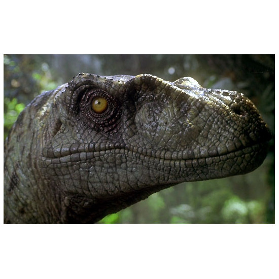 Samolepky - Jurský park