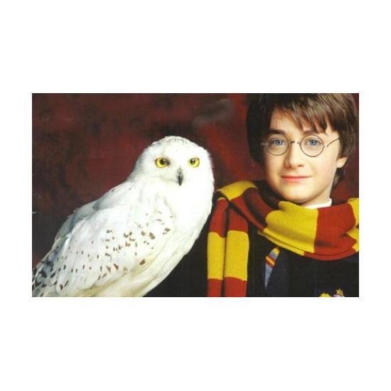 Samolepky - Harry Potter 5