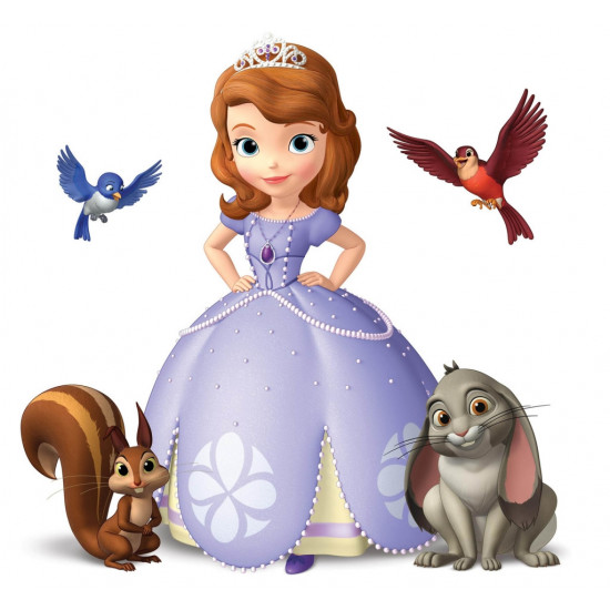 Šaty princezny Sofie První